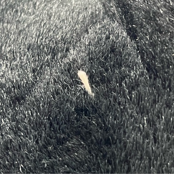 Jim Balent Studios plush goblin vampire black cat green eyes spooky Halloween - Picture 12 of 15